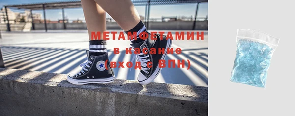 прущие грибы Балабаново