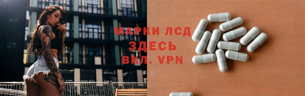 прущие грибы Балабаново