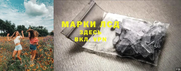 прущие грибы Балабаново