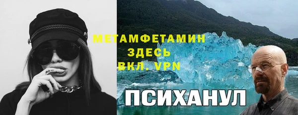 прущие грибы Балабаново