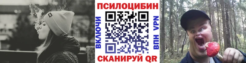 Купить  Вилючинск  Галлюциногенные грибы GOLDEN TEACHER 